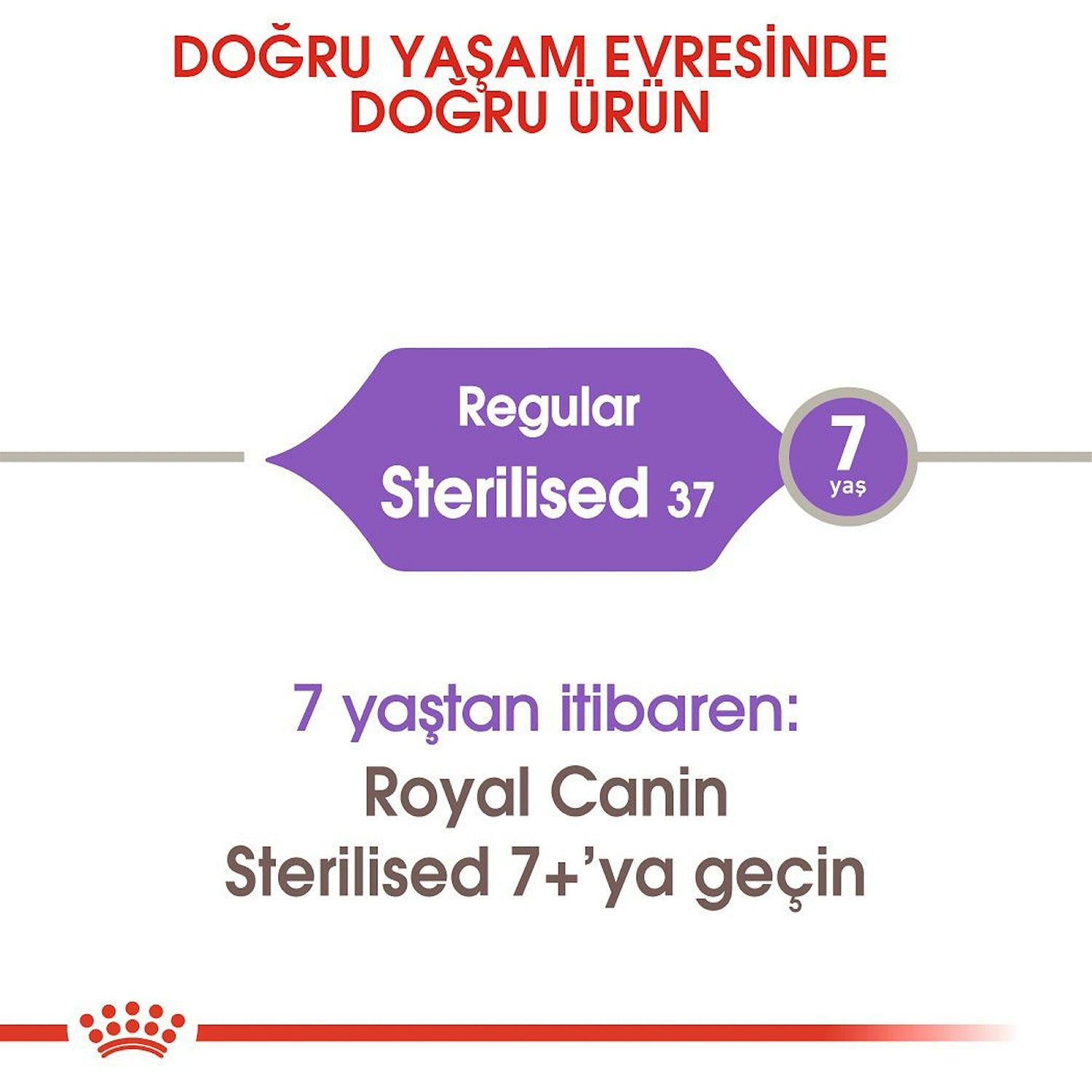 Royal Canin Sterilised 37 Kısırlaştırılmış Yetişkin Kedi Maması 4 Kg