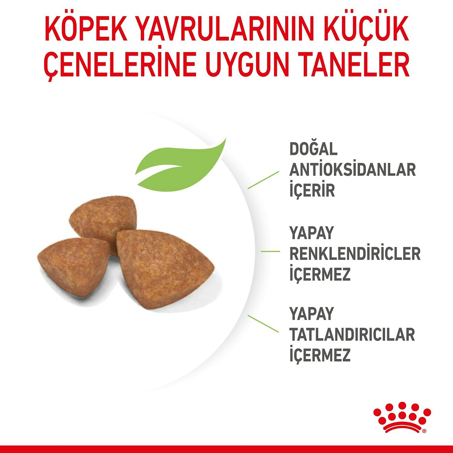 Royal Canin X-Small Puppy Küçük Irk Yavru Köpek Maması 3 Kg