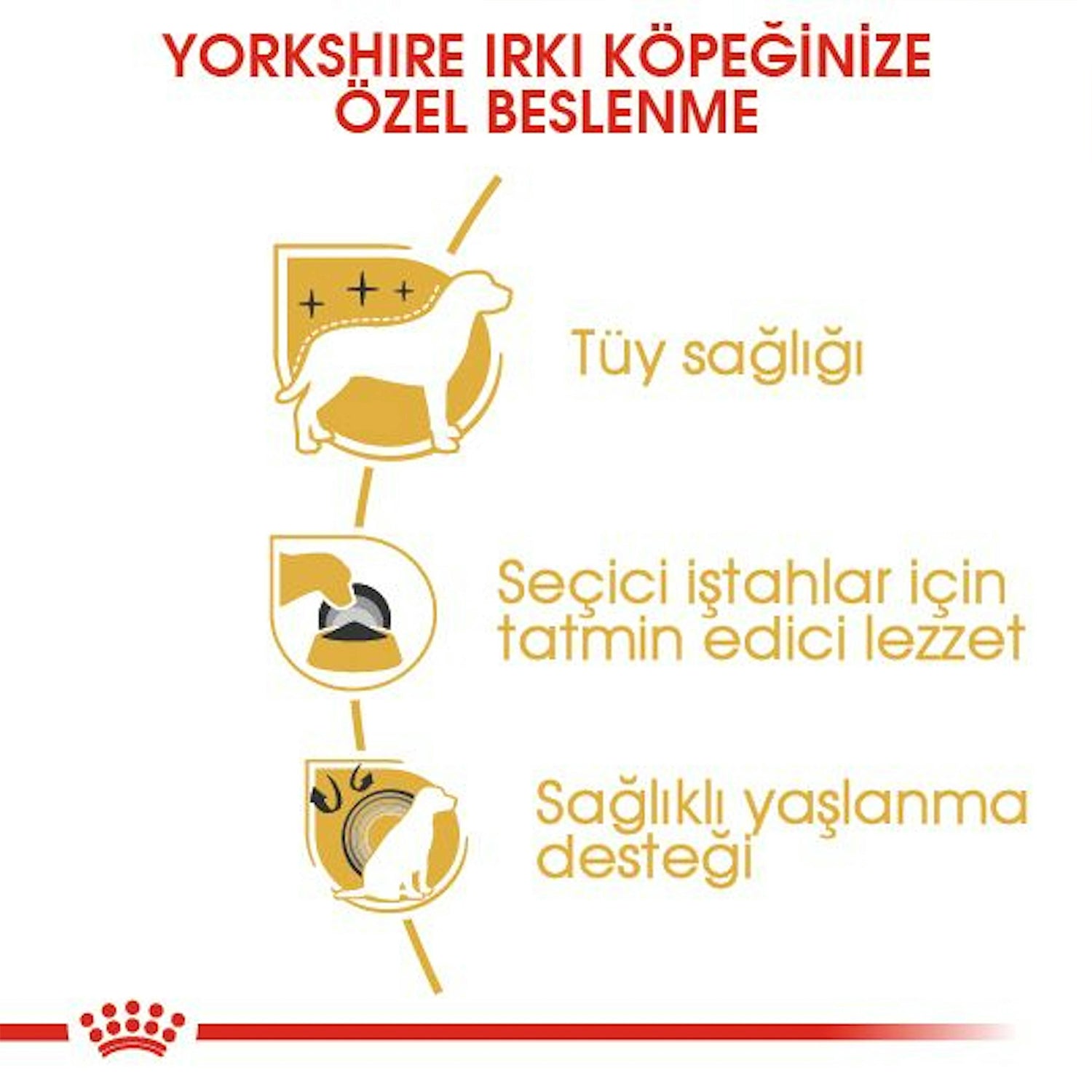Royal Canin Yorkshire Terrier Yetişkin Köpek Maması 1.5 Kg