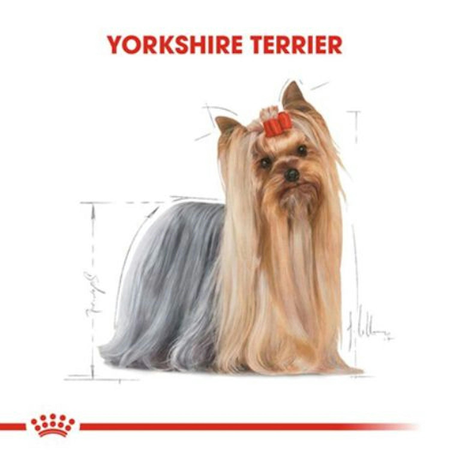 Royal Canin Yorkshire Terrier Yetişkin Köpek Maması 1.5 Kg