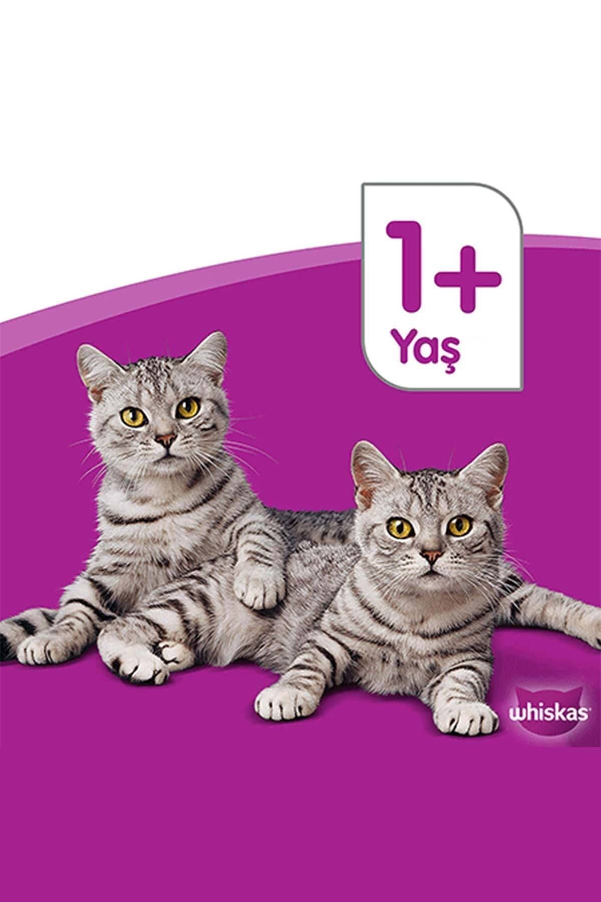 Yetişkin Ton Balıklı Kedi Maması 1.4 Kg